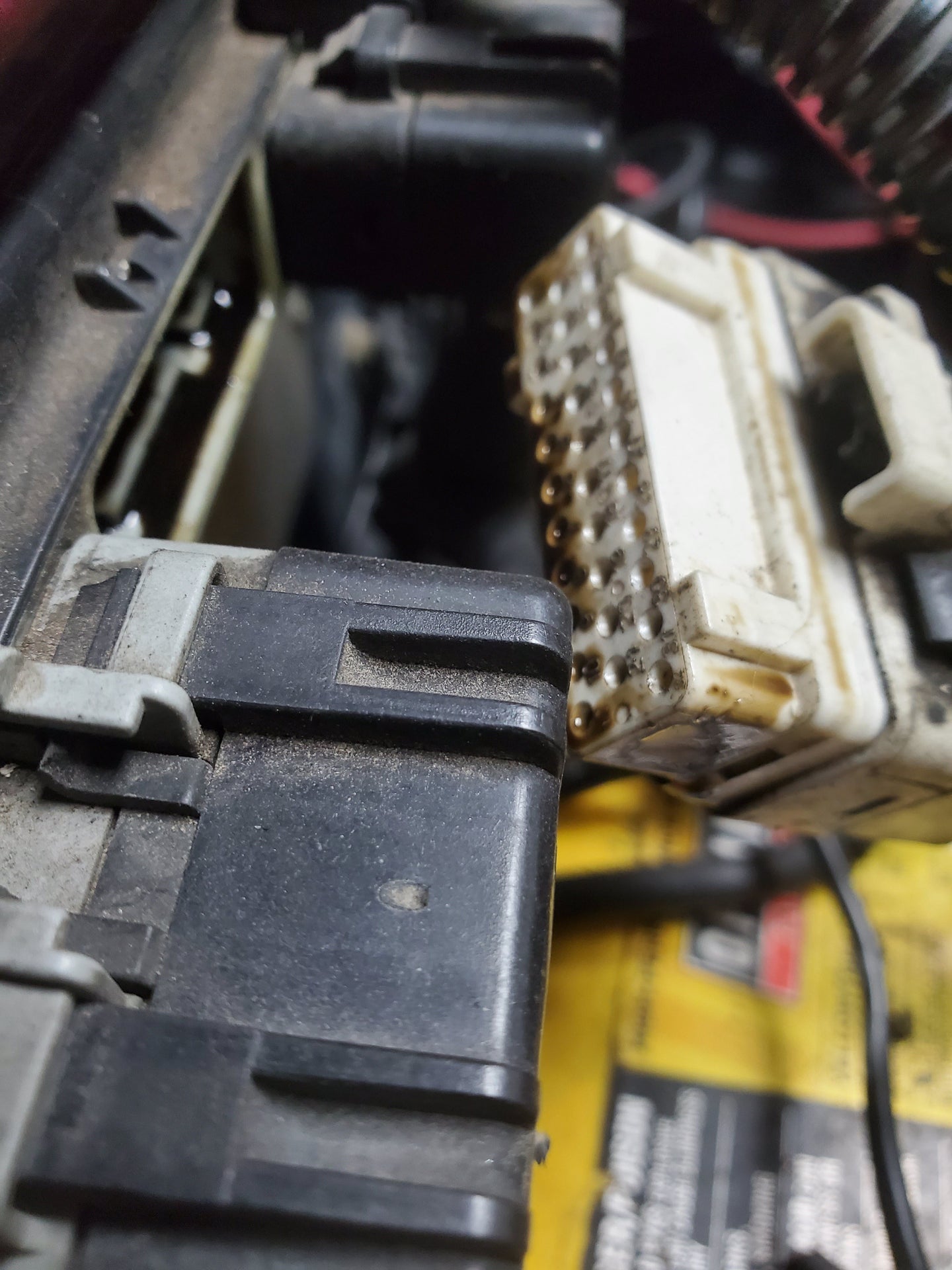 Oil in my 99 wrangler computer | Jeep Garage - Jeep Forum