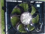 IMG_7295.jpeg