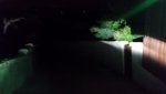 20160223_195423.jpg